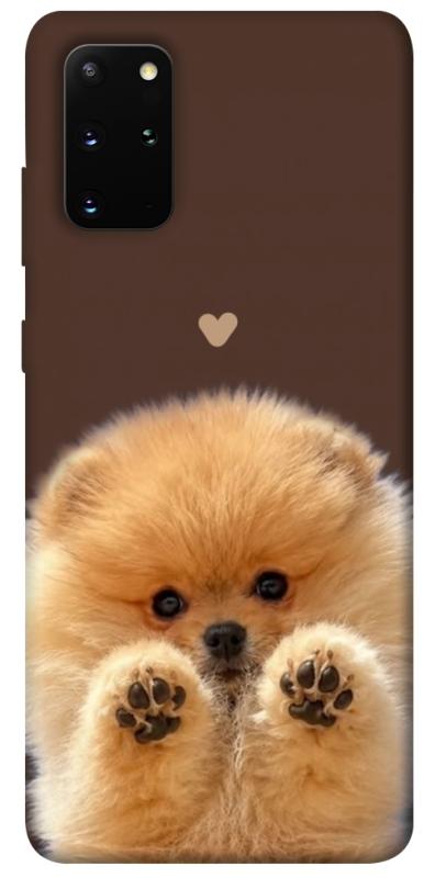 Чехол itsPrint Spitz on the screen для Samsung Galaxy S20+, песики, купить оптом с доставкой