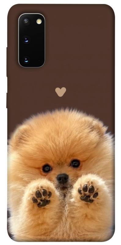 Чохол itsPrint Spitz on the screen для Samsung Galaxy S20, песики, купити оптом з доставкою