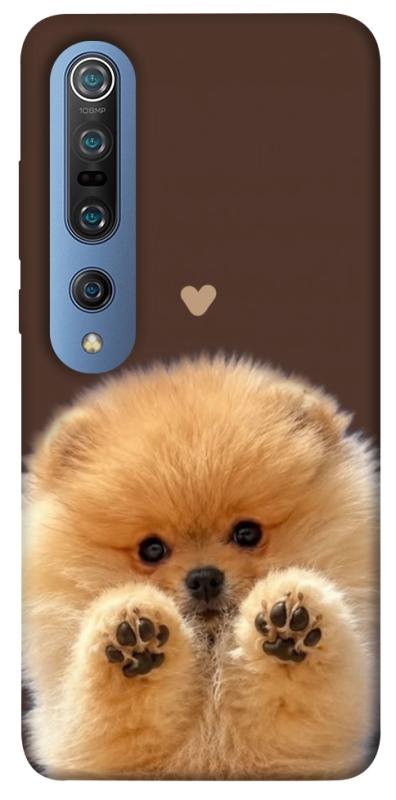 Чохол itsPrint Spitz on the screen для Xiaomi Mi 10 / Mi 10 Pro, песики, купити оптом з доставкою