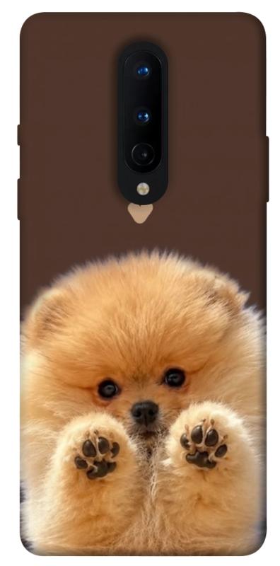 Чохол itsPrint Spitz on the screen для OnePlus 8, песики, купити оптом з доставкою