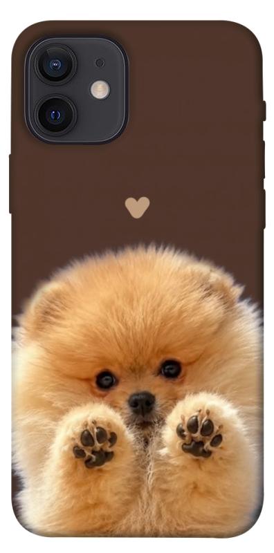 Чохол itsPrint Spitz on the screen для Apple iPhone 12 Pro (6.1"), песики, купити оптом з доставкою