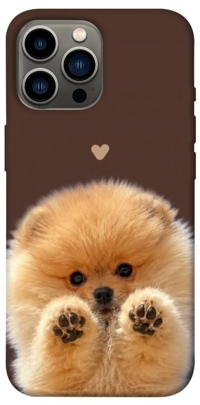 Чохол itsPrint Spitz on the screen для Apple iPhone 12 Pro Max (6.7"), песики, купити оптом з доставкою
