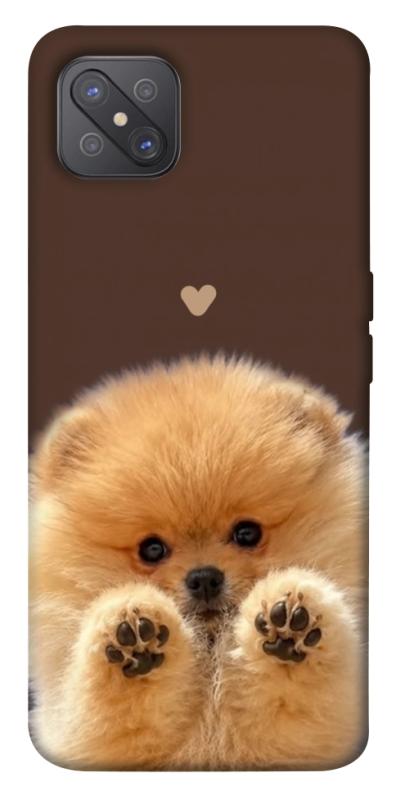Чехол itsPrint Spitz on the screen для Oppo A92s, песики, купить оптом с доставкой