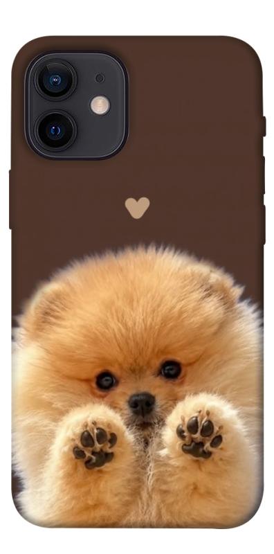 Чехол itsPrint Spitz on the screen для Apple iPhone 12 mini (5.4"), песики, купить оптом с доставкой