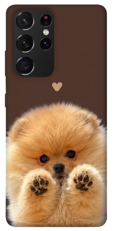 Чехол itsPrint Spitz on the screen для Samsung Galaxy S21 Ultra, песики, купить оптом с доставкой