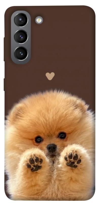 Чохол itsPrint Spitz on the screen для Samsung Galaxy S21, песики, купити оптом з доставкою