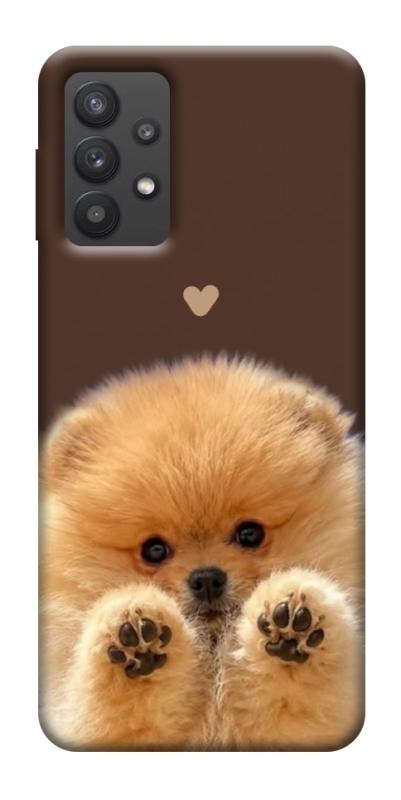 Чехол itsPrint Spitz on the screen для Samsung Galaxy A32 (A326B) 5G, песики, купить оптом с доставкой