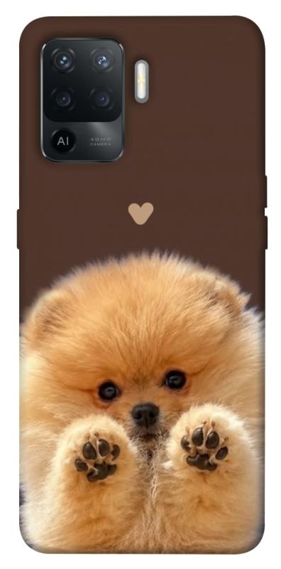 Чохол itsPrint Spitz on the screen для Oppo Reno 5 Lite, песики, купити оптом з доставкою