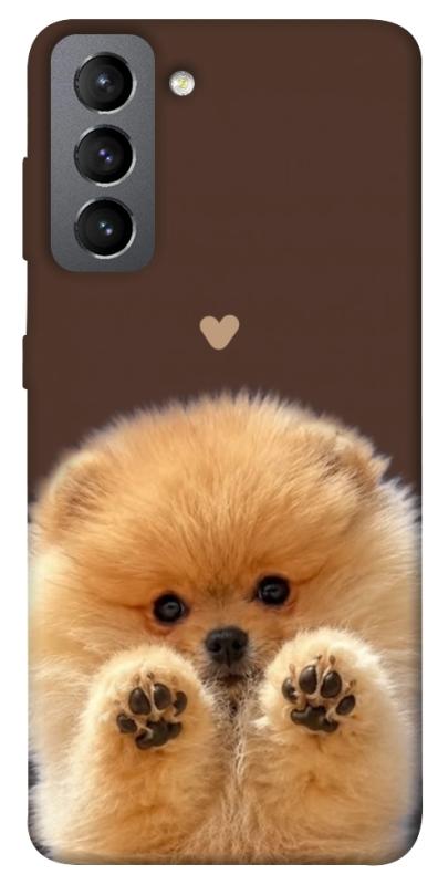 Чехол itsPrint Spitz on the screen для Samsung Galaxy S21 FE, песики, купить оптом с доставкой