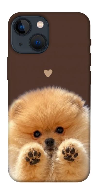 Чохол itsPrint Spitz on the screen для Apple iPhone 13 mini (5.4"), песики, купити оптом з доставкою