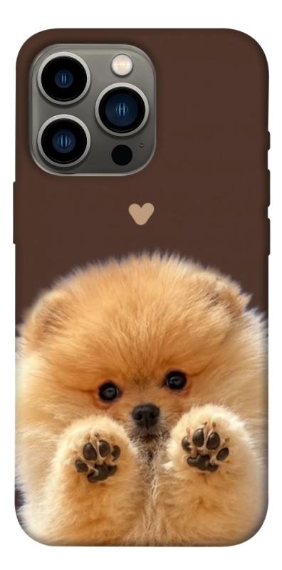 Чохол itsPrint Spitz on the screen для Apple iPhone 13 Pro (6.1"), песики, купити оптом з доставкою