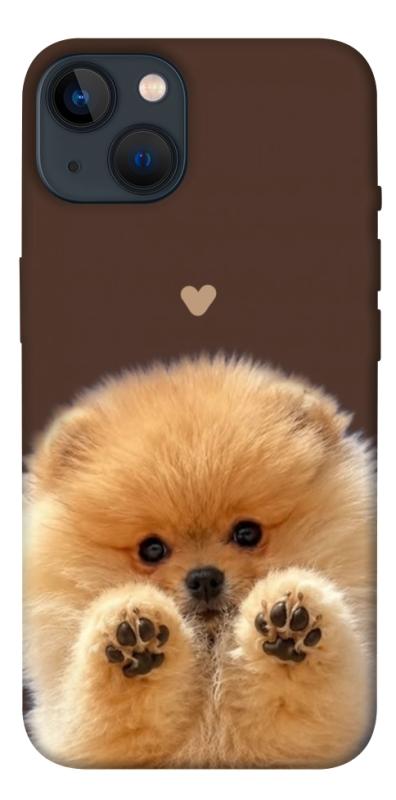 Чохол itsPrint Spitz on the screen для Apple iPhone 13 (6.1"), песики, купити оптом з доставкою