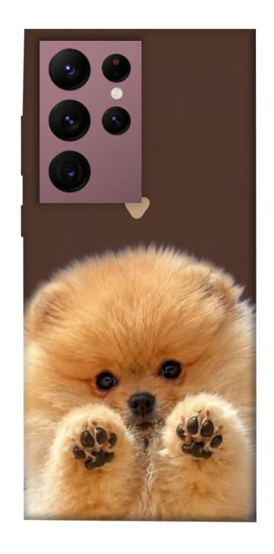 Чехол itsPrint Spitz on the screen для Samsung Galaxy S22 Ultra, песики, купить оптом с доставкой
