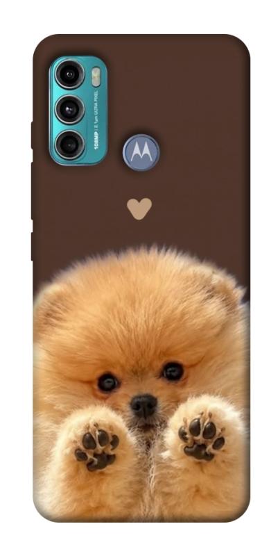 Чохол itsPrint Spitz on the screen для Motorola Moto G60, песики, купити оптом з доставкою