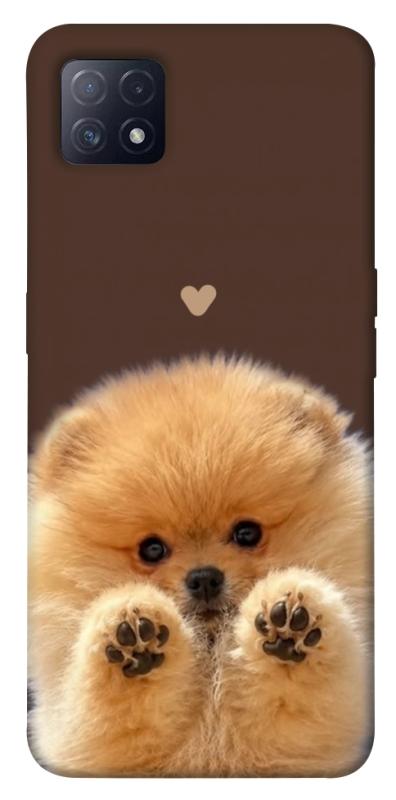 Чохол itsPrint Spitz on the screen для Oppo A72 5G / A73 5G, песики, купити оптом з доставкою