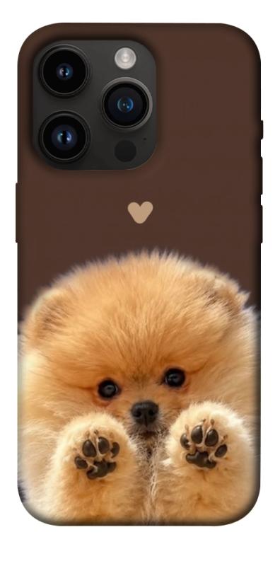 Чохол itsPrint Spitz on the screen для Apple iPhone 14 Pro (6.1"), песики, купити оптом з доставкою