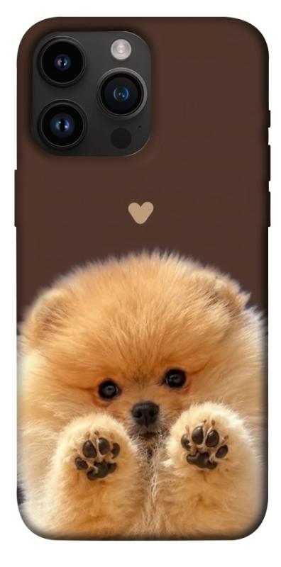 Чохол itsPrint Spitz on the screen для Apple iPhone 14 Pro Max (6.7"), песики, купити оптом з доставкою