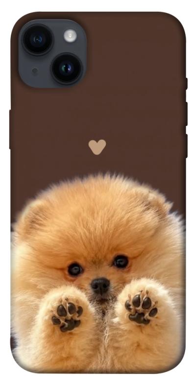Чехол itsPrint Spitz on the screen для Apple iPhone 14 Plus (6.7"), песики, купить оптом с доставкой