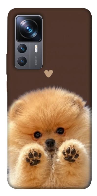 Чехол itsPrint Spitz on the screen для Xiaomi 12T / 12T Pro, песики, купить оптом с доставкой