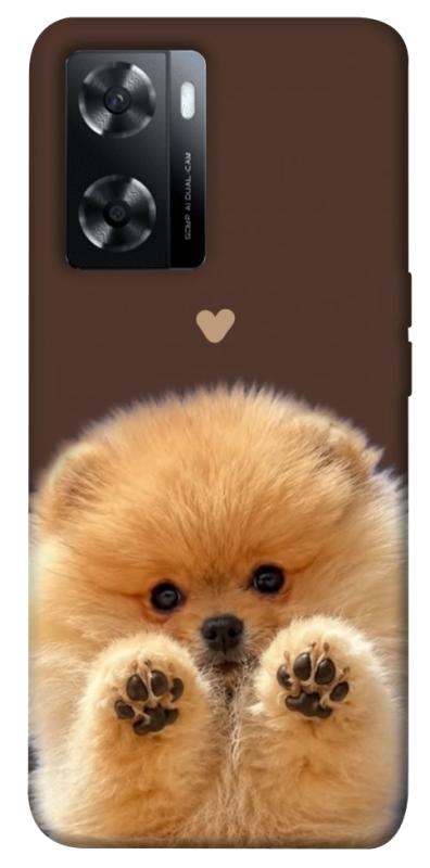 Чохол itsPrint Spitz on the screen для Oppo A57s, песики, купити оптом з доставкою
