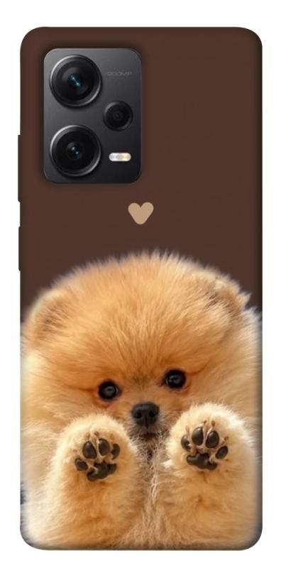 Чохол itsPrint Spitz on the screen для Xiaomi Redmi Note 12 Pro+ 5G, песики, купити оптом з доставкою
