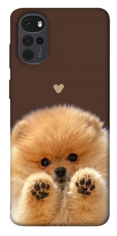 Чохол itsPrint Spitz on the screen для Motorola Moto G22, песики, купити оптом з доставкою