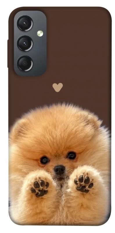 Чохол itsPrint Spitz on the screen для Samsung Galaxy A24 4G, песики, купити оптом з доставкою