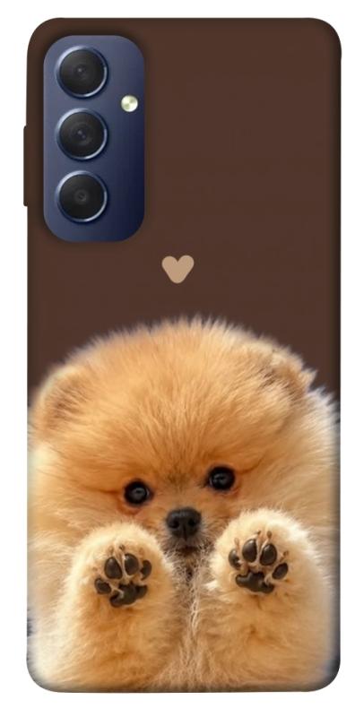 Чохол itsPrint Spitz on the screen для Samsung Galaxy M54 5G, песики, купити оптом з доставкою