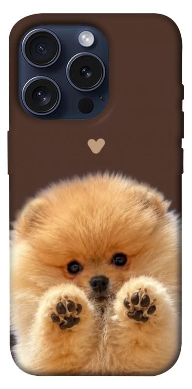 Чохол itsPrint Spitz on the screen для Apple iPhone 15 Pro (6.1"), песики, купити оптом з доставкою