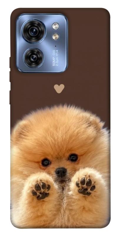 Чохол itsPrint Spitz on the screen для Motorola Edge 40, песики, купити оптом з доставкою