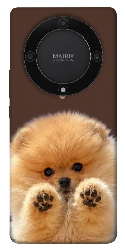 Чохол itsPrint Spitz on the screen для Huawei Magic5 Lite, песики, купити оптом з доставкою