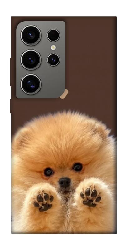 Чохол itsPrint Spitz on the screen для Samsung Galaxy S24 Ultra, песики, купити оптом з доставкою