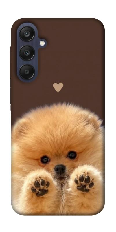 Чохол itsPrint Spitz on the screen для Samsung Galaxy A25 5G, песики, купити оптом з доставкою