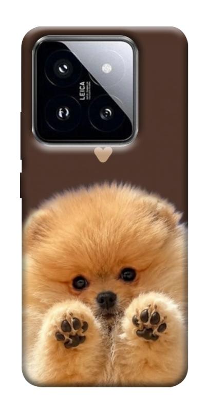 Чохол itsPrint Spitz on the screen для Xiaomi 14 Pro, песики, купити оптом з доставкою