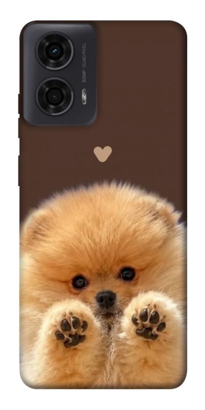 Чохол itsPrint Spitz on the screen для Motorola Moto G24, песики, купити оптом з доставкою