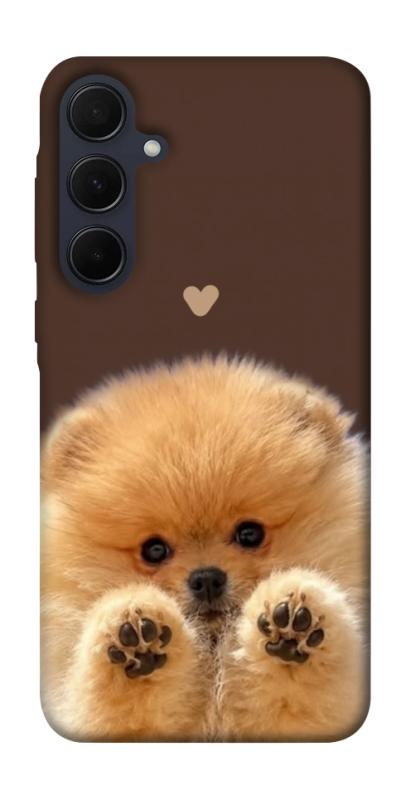 Чехол itsPrint Spitz on the screen для Samsung Galaxy A55, песики, купить оптом с доставкой