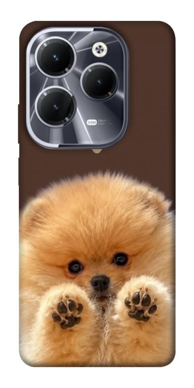 Чохол itsPrint Spitz on the screen для Infinix Hot 40, песики, купити оптом з доставкою