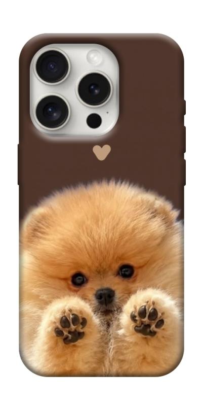 Чохол itsPrint Spitz on the screen для Apple iPhone 16 Pro (6.3"), песики, купити оптом з доставкою