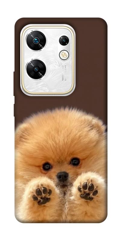 Чохол itsPrint Spitz on the screen для Infinix Zero 30 4G, песики, купити оптом з доставкою