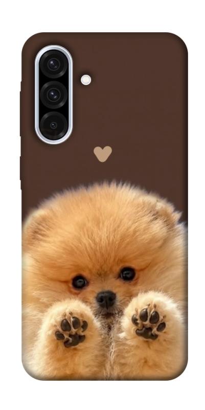 Чохол itsPrint Spitz on the screen для Samsung Galaxy A36 5G, песики, купити оптом з доставкою