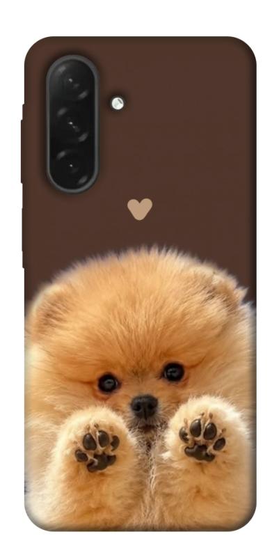 Чохол itsPrint Spitz on the screen для Samsung Galaxy A26 5G, песики, купити оптом з доставкою