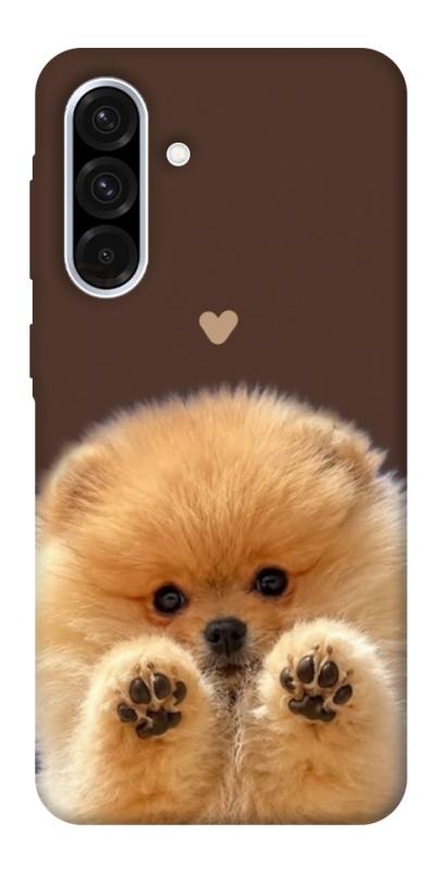 Чохол itsPrint Spitz on the screen для Samsung Galaxy A56 5G, песики, купити оптом з доставкою