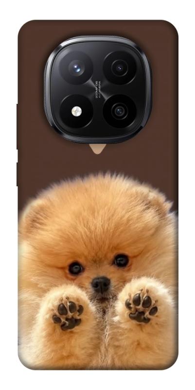 Чохол itsPrint Spitz on the screen для Xiaomi Redmi Note 14 Pro+ 5G, песики, купити оптом з доставкою