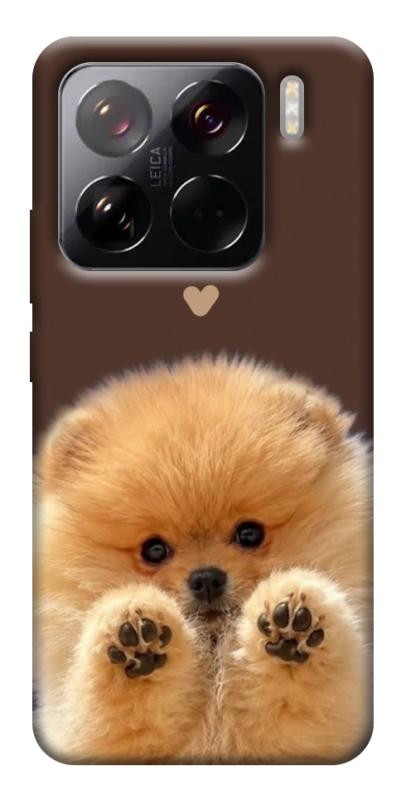 Чехол itsPrint Spitz on the screen для Xiaomi 15 Pro, песики, купить оптом с доставкой
