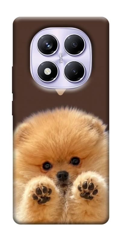 Чохол itsPrint Spitz on the screen для Xiaomi Poco X7, песики, купити оптом з доставкою