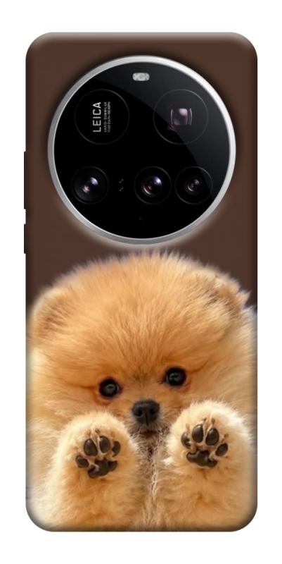 Чохол itsPrint Spitz on the screen для Xiaomi 15 Ultra, песики, купити оптом з доставкою