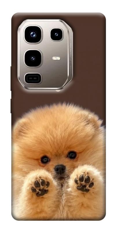 Чохол itsPrint Spitz on the screen для Infinix Note 50 Pro 4G, песики, купити оптом з доставкою