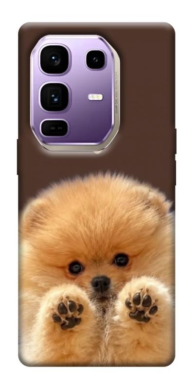 Чохол itsPrint Spitz on the screen для Infinix Note 50 Pro+, песики, купити оптом з доставкою