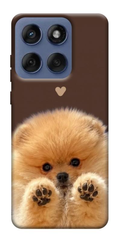 Чехол itsPrint Spitz on the screen для Motorola Edge 60 Fusion, песики, купить оптом с доставкой