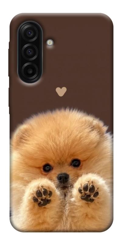 Чехол itsPrint Spitz on the screen для Samsung Galaxy A17 5G/4G, песики, купить оптом с доставкой